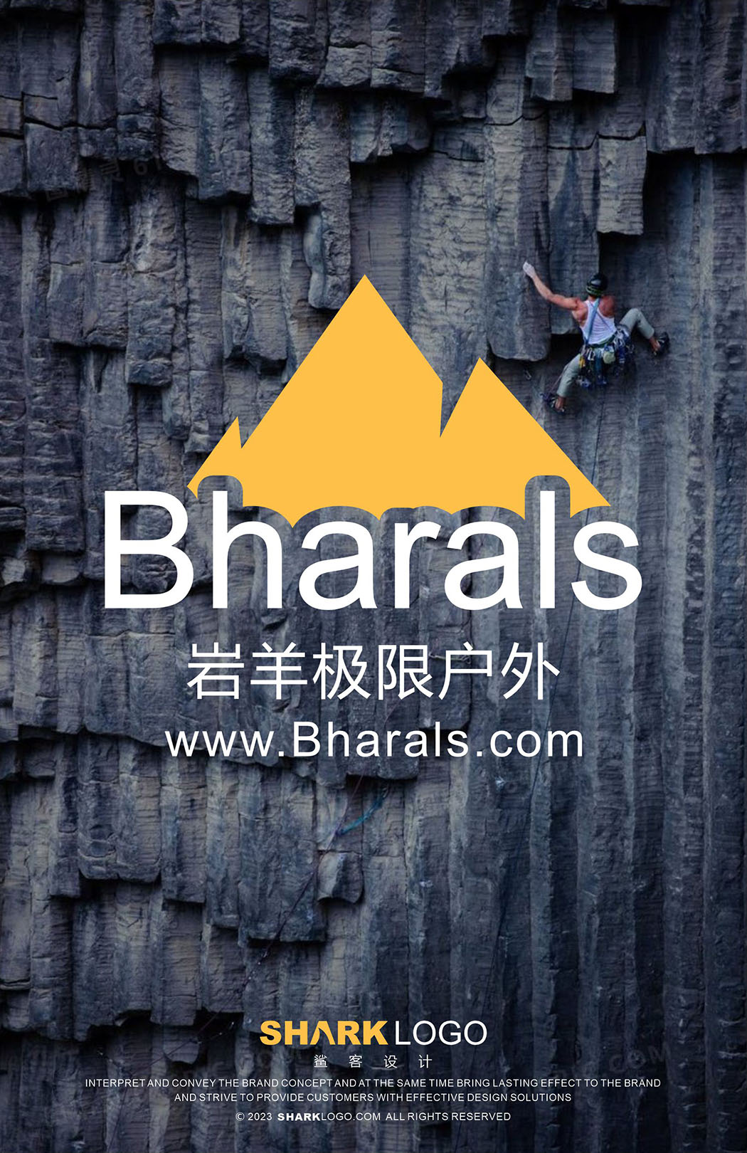 岩羊