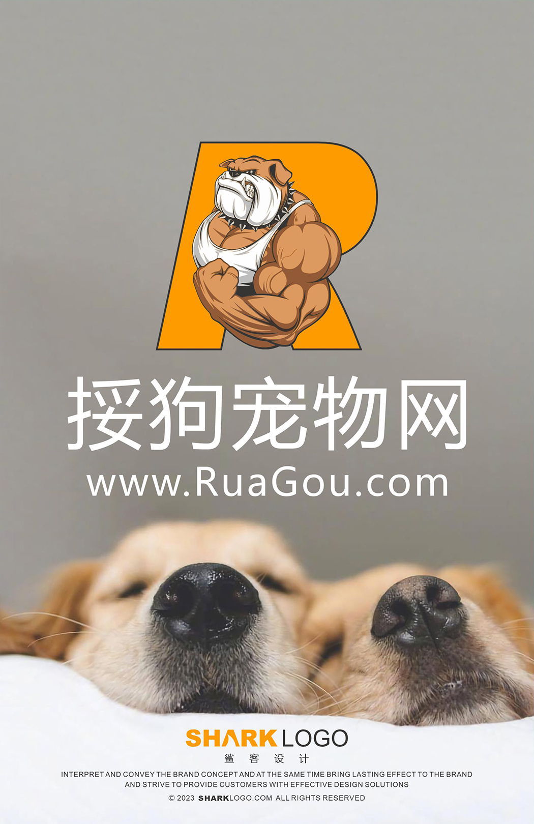 挼狗
